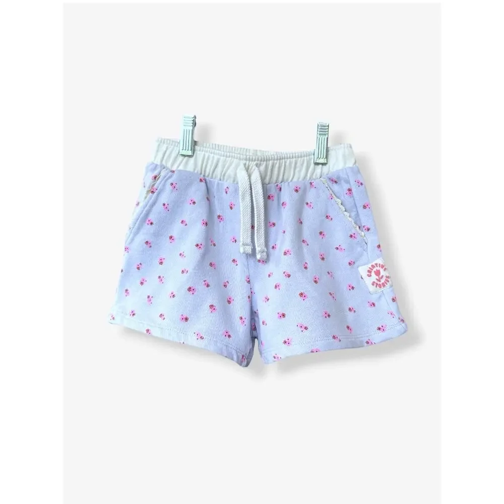 Zara Floral Shorts, Hoodie, Embroidered Fringed T-Shirt Set Size 5T Lavender